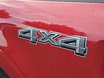New 2025 Ford F-150 XLT SuperCrew Cab 4x4 Pickup for sale #48571 - photo 6