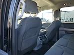 New 2025 Ford F-150 XLT SuperCrew Cab Pickup for sale #48580 - photo 8