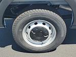 New 2025 Ford Transit 250 Medium Roof Empty Cargo Van for sale #48624 - photo 5
