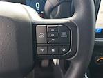 2025 Ford F-150 SuperCrew Cab 4x2 Pickup for sale #48667 - photo 18