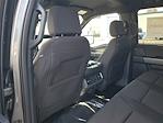 New 2025 Ford F-150 XLT SuperCrew Cab 4x4 Pickup for sale #48681 - photo 10