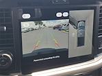 New 2025 Ford F-150 XLT SuperCrew Cab 4x4 Pickup for sale #48707 - photo 24