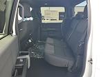 New 2025 Ford F-150 STX SuperCrew Cab Pickup for sale #48714 - photo 9