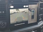 New 2025 Ford F-150 XLT SuperCrew Cab 4x4 Pickup for sale #48717 - photo 25