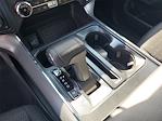 New 2025 Ford F-150 XLT SuperCrew Cab 4x4 Pickup for sale #48717 - photo 30