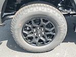 New 2025 Ford F-150 XLT SuperCrew Cab 4WD Pickup for sale #48745 - photo 5