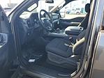 New 2025 Ford F-150 XLT SuperCrew Cab 4WD Pickup for sale #48747 - photo 16