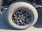 New 2025 Ford F-150 XLT SuperCrew Cab 4WD Pickup for sale #48747 - photo 5