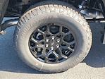 New 2025 Ford F-150 XLT SuperCrew Cab 4WD Pickup for sale #48748 - photo 5