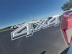 New 2025 Ford F-150 XLT SuperCrew Cab 4WD Pickup for sale #48748 - photo 6
