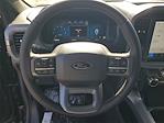 2025 Ford F-150 SuperCrew Cab 4x4 Pickup for sale #48773 - photo 19