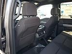 New 2025 Ford F-150 XLT SuperCrew Cab 4WD Pickup for sale #48812 - photo 10