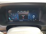 2025 Ford F-150 SuperCrew Cab 4x2 Pickup for sale #48847 - photo 19