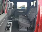 New 2025 Ford F-150 XLT SuperCrew Cab for sale #48889 - photo 11