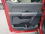 New 2025 Ford F-150 XLT SuperCrew Cab for sale #48889 - photo 9
