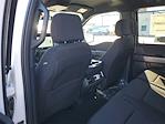 New 2025 Ford F-150 XLT SuperCrew Cab 4WD Pickup for sale #48905 - photo 10
