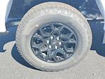 New 2025 Ford F-150 XLT SuperCrew Cab 4WD Pickup for sale #48905 - photo 5