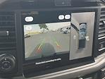 New 2025 Ford F-150 XLT SuperCrew Cab 4WD Pickup for sale #48935 - photo 25