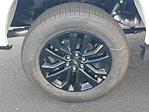 New 2025 Ford F-150 XLT SuperCrew Cab 4WD Pickup for sale #48936 - photo 5