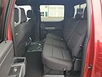 New 2025 Ford F-150 XLT SuperCrew Cab 4WD Pickup for sale #48938 - photo 11