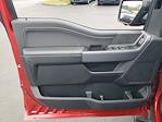New 2025 Ford F-150 XLT SuperCrew Cab 4WD Pickup for sale #48938 - photo 14