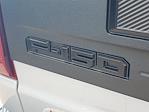 2025 Ford F-150 SuperCrew Cab 4WD Pickup for sale #49045 - photo 6