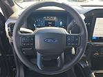 2025 Ford F-150 Super Cab RWD Pickup for sale #49107 - photo 15