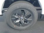 New 2025 Ford F-150 STX Super Cab for sale #49111 - photo 5