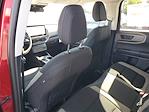 2025 Ford Bronco Sport 4WD SUV for sale #49159 - photo 10
