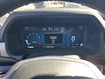 2025 Ford F-150 SuperCrew Cab 4WD Pickup for sale #49170 - photo 21