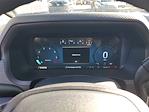 2025 Ford F-150 SuperCrew Cab 4WD Pickup for sale #49172 - photo 20