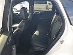 New 2026 Ford Escape ST-Line Elite for sale #49226 - photo 12