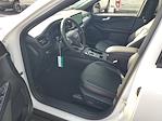New 2026 Ford Escape ST-Line Elite for sale #49226 - photo 17
