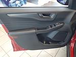 New 2026 Ford Escape Active for sale #49229 - photo 12