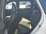 New 2026 Ford Escape ST-Line Select for sale #49263 - photo 12