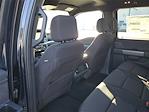 New 2025 Ford F-150 XLT SuperCrew Cab for sale #49270 - photo 10