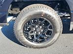 New 2025 Ford F-150 XLT SuperCrew Cab for sale #49270 - photo 5