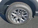 New 2025 Ford Bronco Sport Big Bend for sale #49304 - photo 5