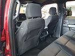 New 2025 Ford F-150 XLT SuperCrew Cab for sale #49404 - photo 10