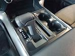 New 2025 Ford F-150 XLT SuperCrew Cab for sale #49404 - photo 28
