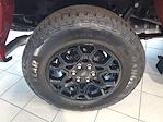 New 2025 Ford F-150 XLT SuperCrew Cab for sale #49404 - photo 5