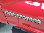 New 2025 Ford F-150 XLT SuperCrew Cab for sale #49404 - photo 7