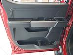 New 2025 Ford F-150 XLT SuperCrew Cab for sale #49404 - photo 9