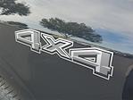 New 2025 Ford F-150 XLT SuperCrew Cab for sale #49421 - photo 6