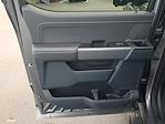 New 2025 Ford F-150 XLT SuperCrew Cab for sale #49422 - photo 9