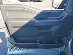 New 2025 Ford F-150 XLT SuperCrew Cab for sale #49424 - photo 14
