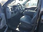 New 2026 Ford F-250 XLT Crew Cab for sale #49473 - photo 15