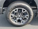 2024 Ford F-150 SuperCrew Cab 4x2 Pickup for sale #A19961 - photo 5