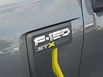 2024 Ford F-150 SuperCrew Cab 4x2 Pickup for sale #A19961 - photo 6