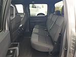 2024 Ford F-150 SuperCrew Cab 4x2 Pickup for sale #A19961 - photo 9